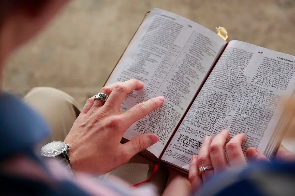 The Best Bible Verses About Giving