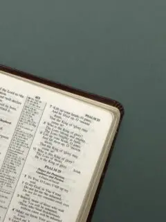 The Best Bible Verses About The Light Of The World